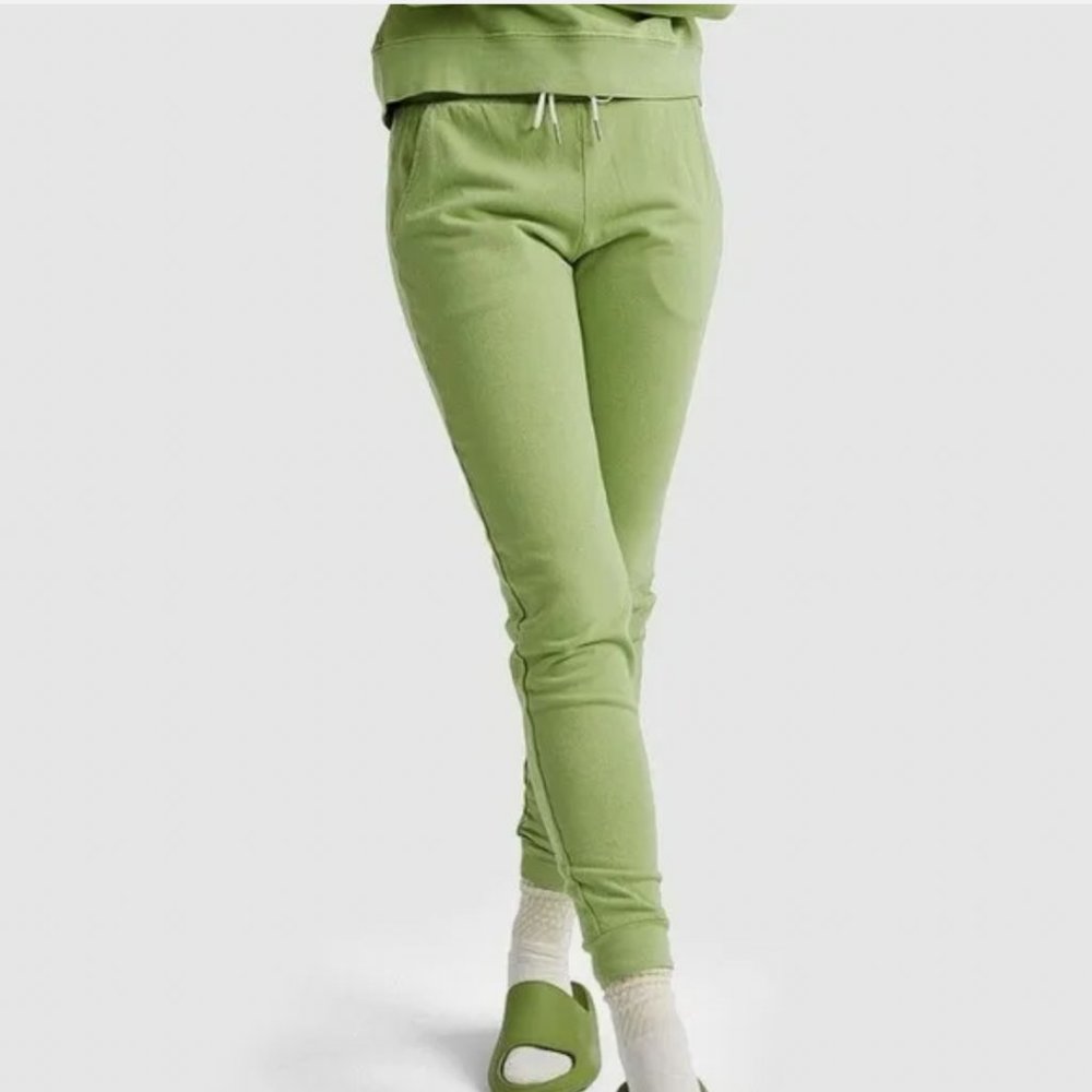 NWOT Organic Terry Classic Jogger in Pistachio
